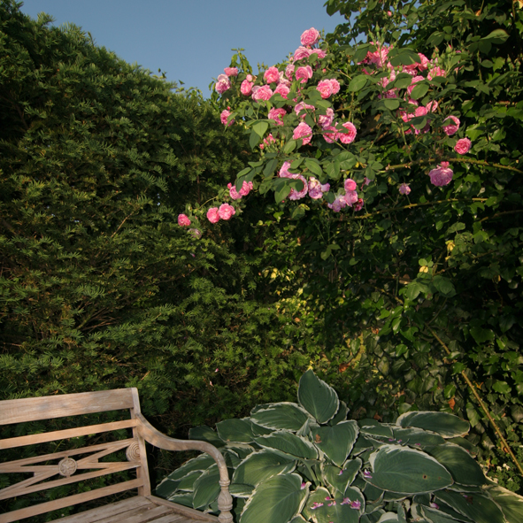 Der Garten von Herrn Suhr